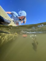 IMG_5429.jpg