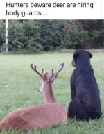 1669679062739.png