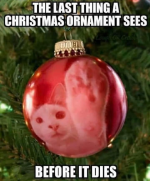 1669731366055.png