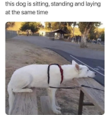 1669808467611.png