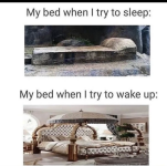 1669921220346.png