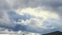 20221201_120533.jpg