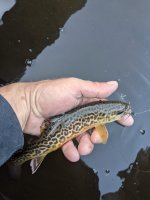 PXL_20221001_010829182.jpg
