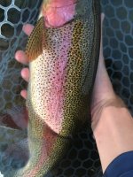 IMG_1087.JPG IMG_1087.JPG
