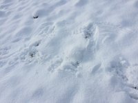 83118DB7-E467-40AB-9CC9-032F8B8B7707.jpeg