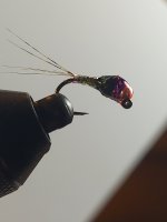 20221203_112203.jpg