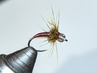PXL_20221204_023936241.jpg