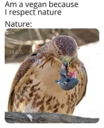 1670162885496.png