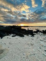 1B466F9D-2954-4BF3-A28C-F33EA1CA1257.jpeg
