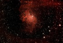 Flaming star copy.jpg