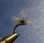 IMG_0586.jpeg