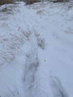 IMG_1877.jpg IMG_1877.jpg