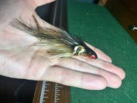IMG_0332.jpeg