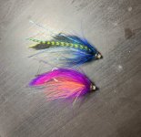 IMG_1448.jpeg