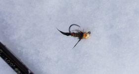 20221209_grhefly.jpg