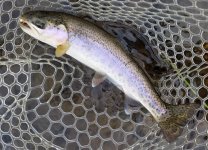 20221209_rainbow.jpg