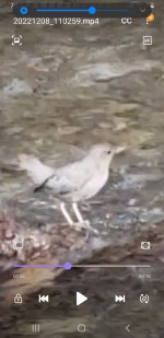 Screenshot_20221208-192757_Video Player.jpg