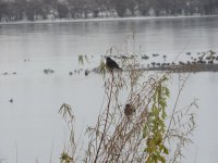 IMG_3352.JPG