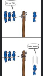 FB_IMG_1670550408446.jpg