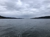 496C1004-F9B3-4131-A004-86AE2E933CAD.jpeg