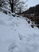 IMG_2097.jpg