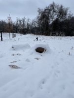 IMG_2059.jpg