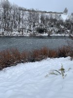 IMG_2062.jpg
