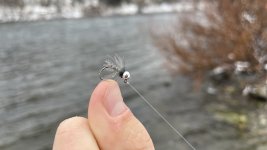 IMG_2076.jpg
