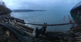 B45E38CC-C67D-4620-B76E-1928B871CFE1.jpeg