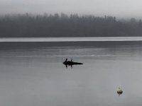 418C361A-344D-404E-B60E-48B499D41669.jpeg