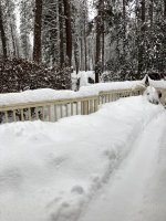 IMG-5896.JPG IMG-5896.JPG