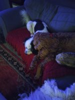 20211118_193933.jpg 20211118_193933.jpg