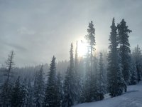 20221211_125033.jpg