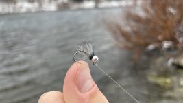 IMG_2077.jpg