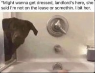 F62DA6F4-E9E6-4BC7-9AB5-49431133D998.jpeg