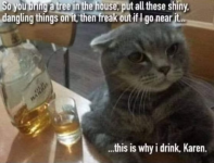 1670934544733.png