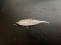 IMG_1469.jpeg