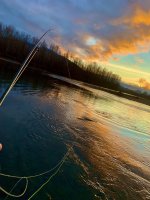 IMG_1458.jpeg