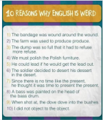 1671029579864.png