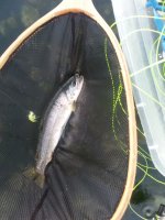 20170902_065526.jpg