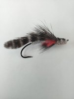 IMG_20221215_121426943.jpg