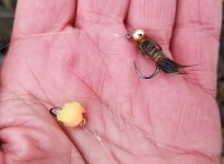 20221215_flies.jpg