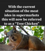 1671195676829.png