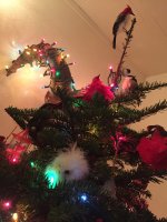 D25E2956-F12F-4AEA-ACB0-ED8406687DDD.jpeg