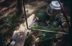 untitled (1 of 1).jpg