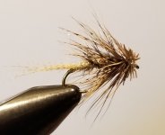 20221221_080301.jpg