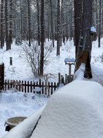 IMG-5931.JPG