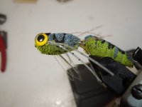DSCN2681.JPG