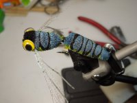 DSCN2680.JPG