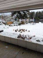PXL_20221222_220704688.jpg